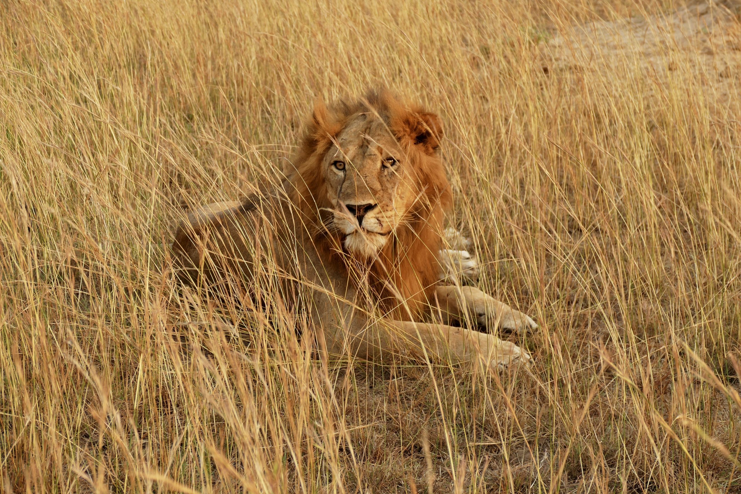 Kidepo valley national Park